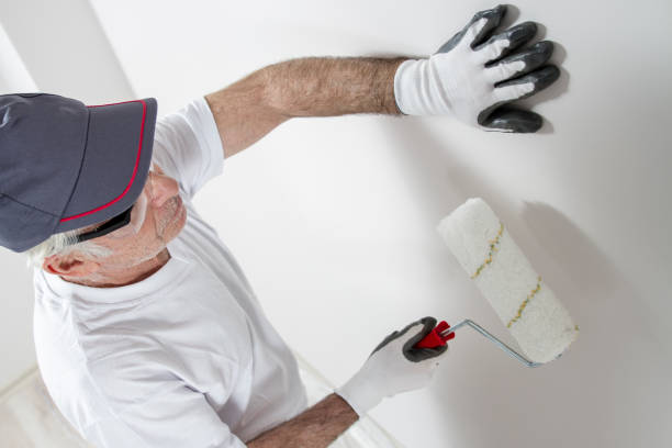 Asbestos and Lead Testing During Mold Inspection in Discovery Harbour, HI