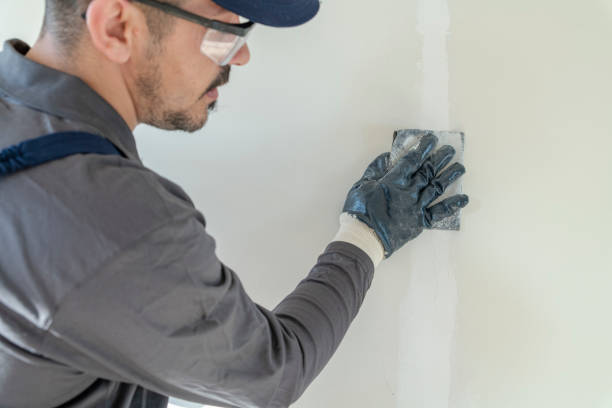 Best Basement Mold Removal  in Discovery Harbour, HI