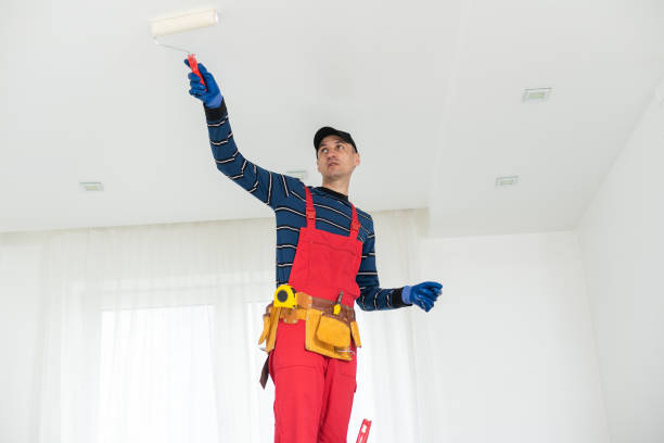 Best Crawl Space Mold Remediation  in Discovery Harbour, HI