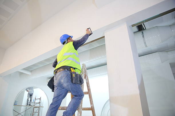 Best Post-Construction Mold Inspection  in Discovery Harbour, HI