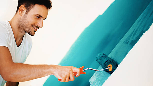 Best Mold Remediation for Rental Properties  in Discovery Harbour, HI