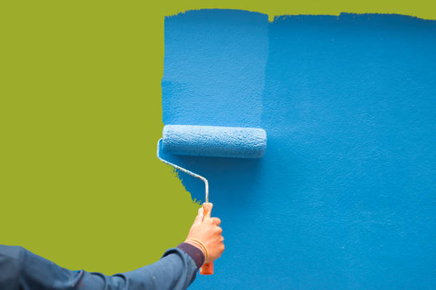 Best Mold Documentation for Insurance Claims  in Discovery Harbour, HI