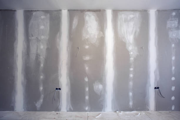 Best Emergency Mold Remediation  in Discovery Harbour, HI