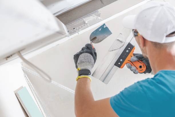 Best Attic Mold Removal  in Discovery Harbour, HI